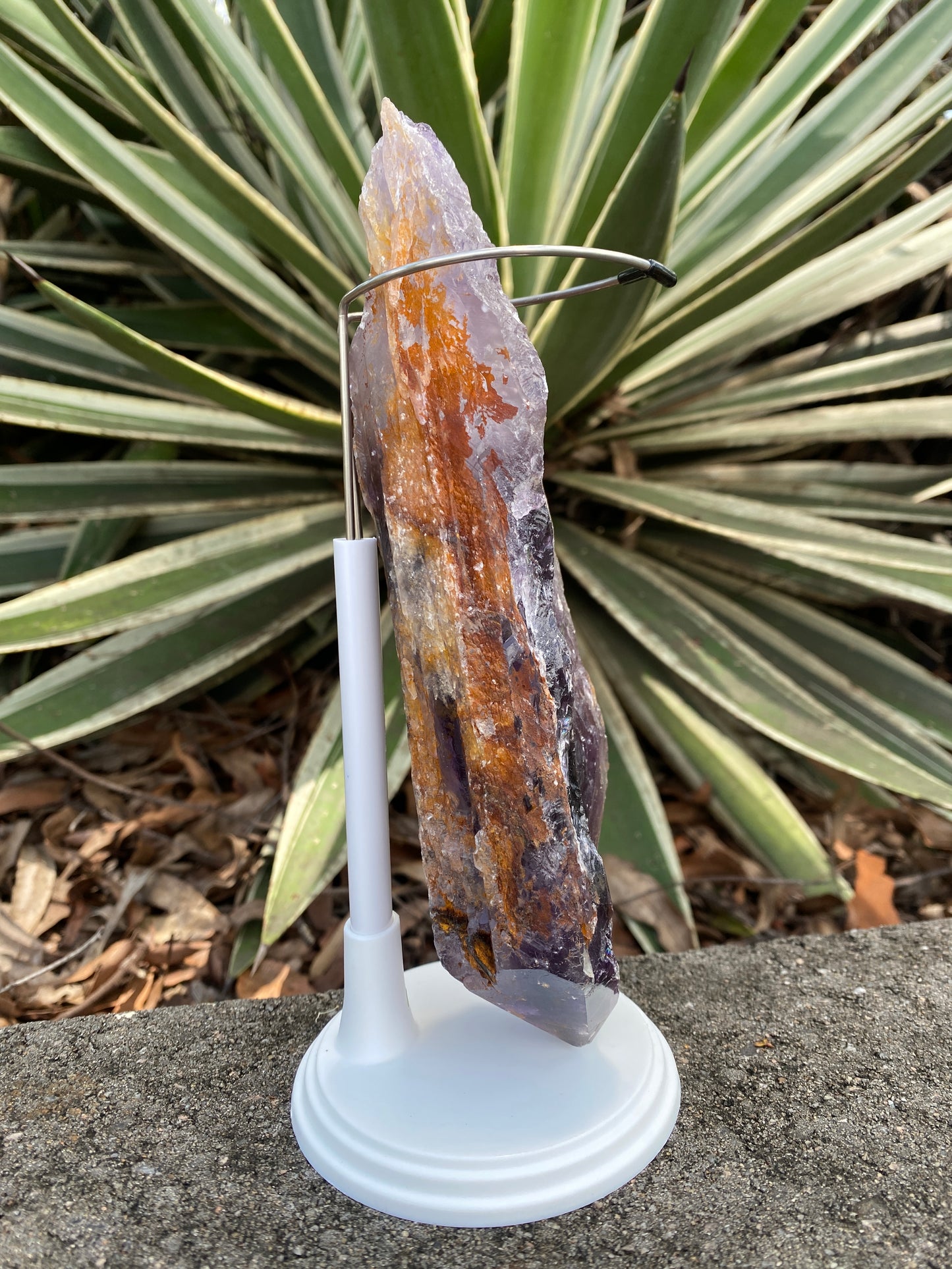 Amethyst Rough Bouquet Stem